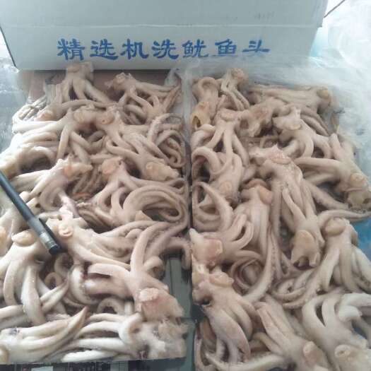 郑州鱿鱼头