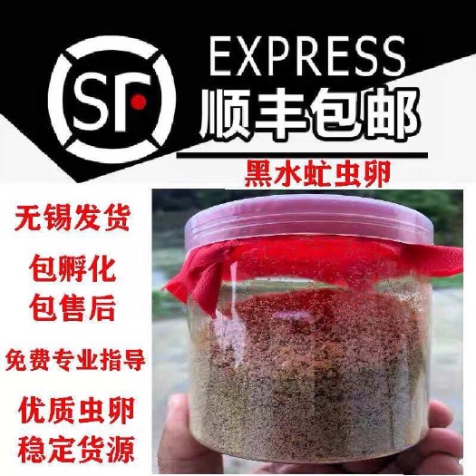 江阴市黑水虻虫卵黑水牤虫卵50克/罐起全国顺丰包邮江苏无锡发货
