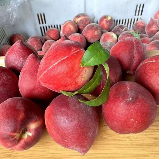 米易县攀枝花 黑美人桃子大量上市 对接全国市场 电商 口感纯甜 爆