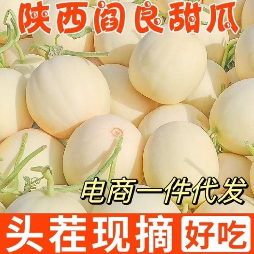 西安陕西阎良甜瓜头茬小籽甜瓜支持电商一件代发包邮包售后
