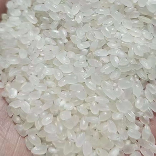 23年东北珍珠米