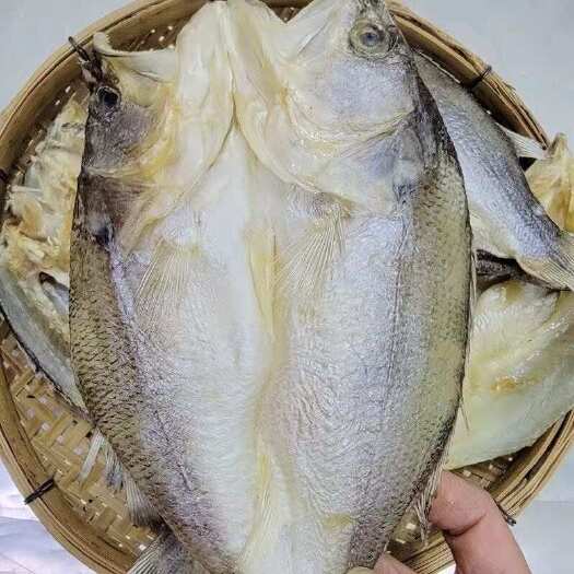 佛山开边鲈鱼干 展会地摊电商鲈鱼干 加洲鲈鱼干 卢肉 干鱼 鱼干