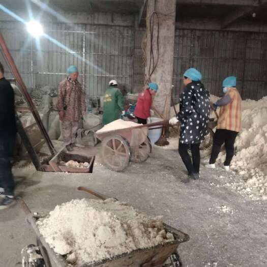 阳山县发酵豆腐渣饲料