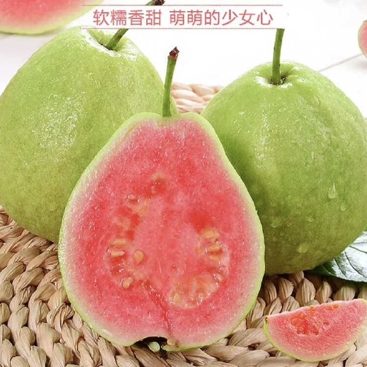 化州市红宝石，西瓜红，珍珠芭乐欢迎市场，电商，工厂合作大量货源
