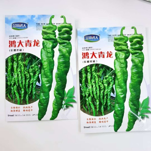 宿迁景田早熟鸿大青龙螺丝椒种子鸿大203螺丝椒种子中早熟辣椒种