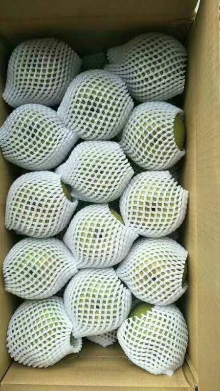 建宁县翠冠梨