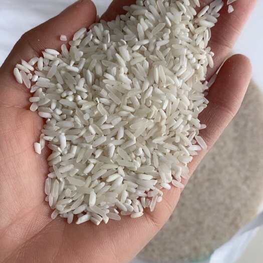 荔浦市饭堂米、腹白米