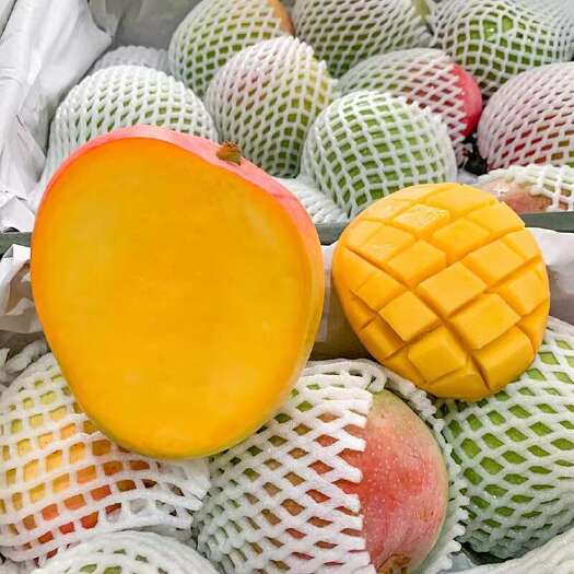海口精品芒果新鲜 澳芒应季高端水果整箱