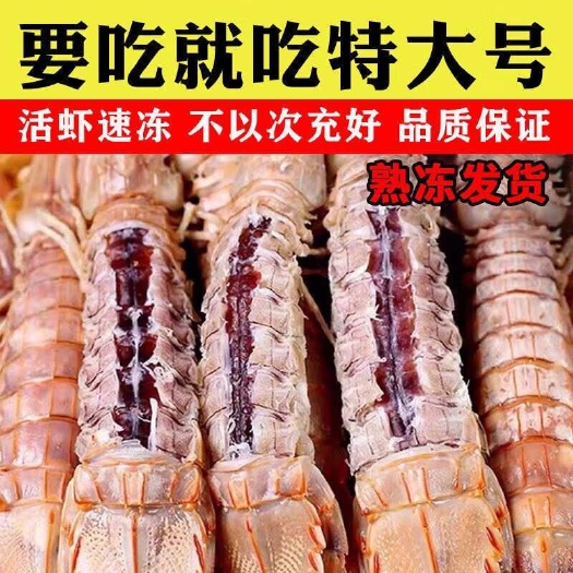 连云港皮皮虾