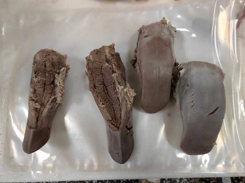 真空包装，精熟口条！