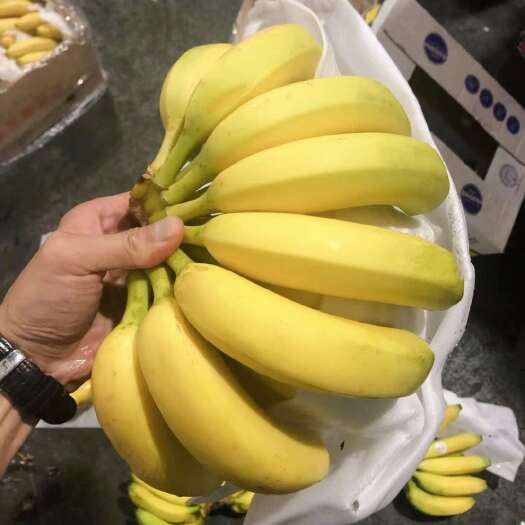 上海菲律宾精品二黄蕉，口感软糯香甜，蕉体金黄，保质保量全国可发