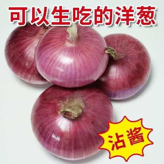  洋葱