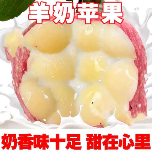 广州正宗羊奶苹果特级红富士苹果冰糖心新鲜水果脆甜一整箱批发