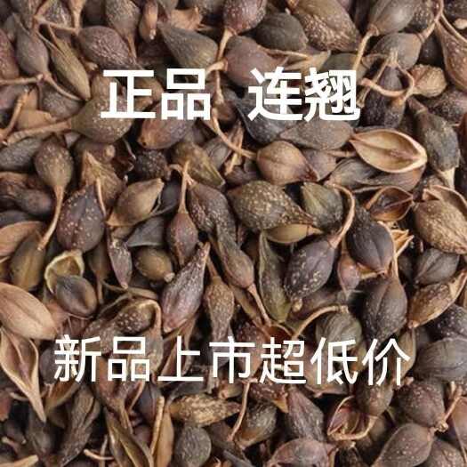 连翘 中药材连翘 产地直销量大优惠无硫新货一斤包邮