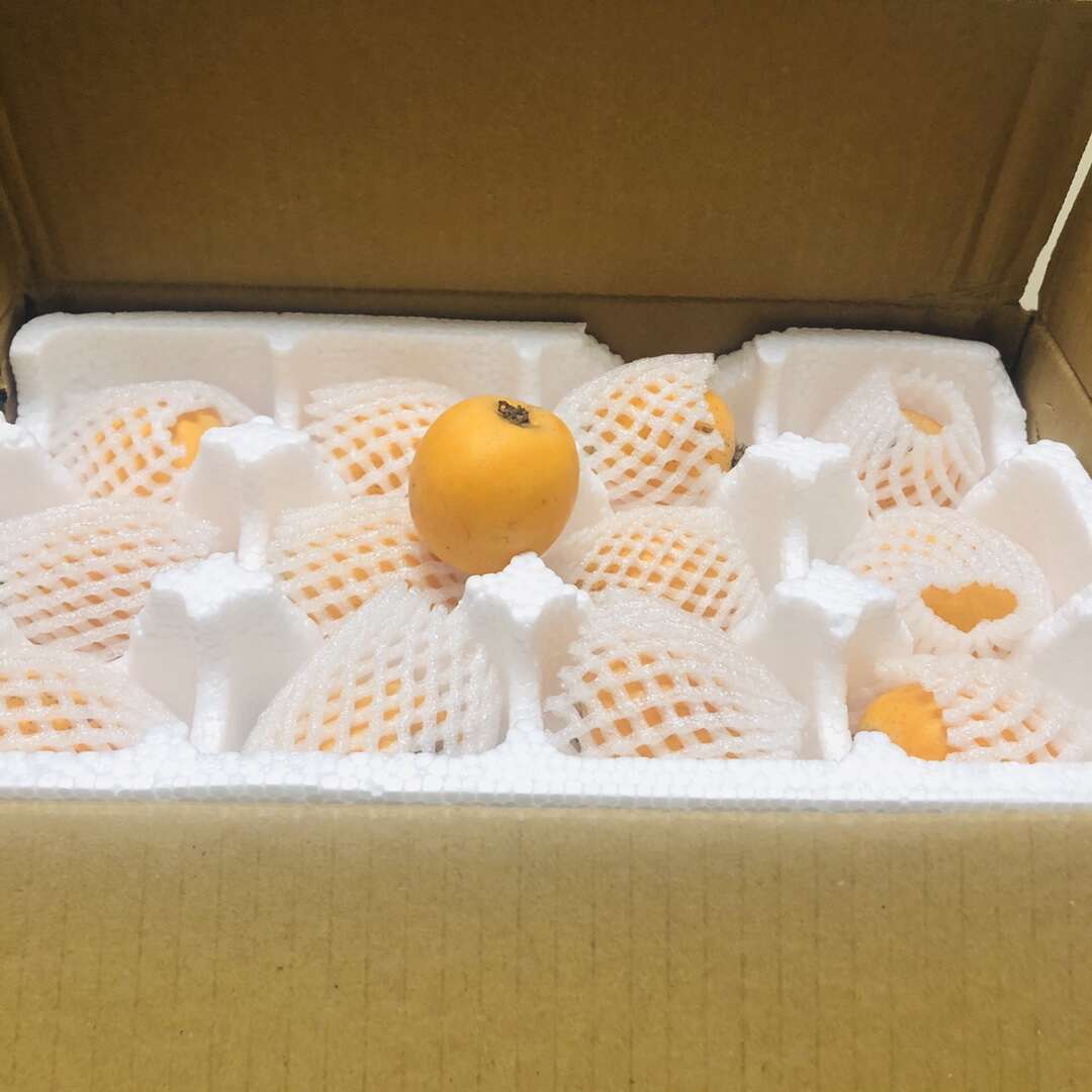 【 顺丰为主 米易枇杷】新鲜高山树上熟皮薄肉厚5斤现摘现发