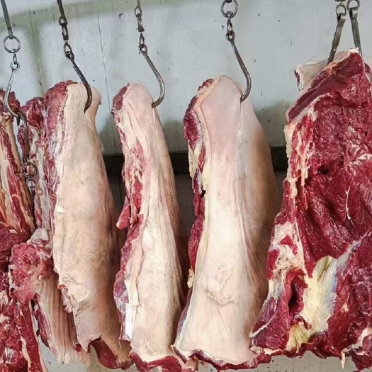 郑州驴肉，马肉现宰鲜肉