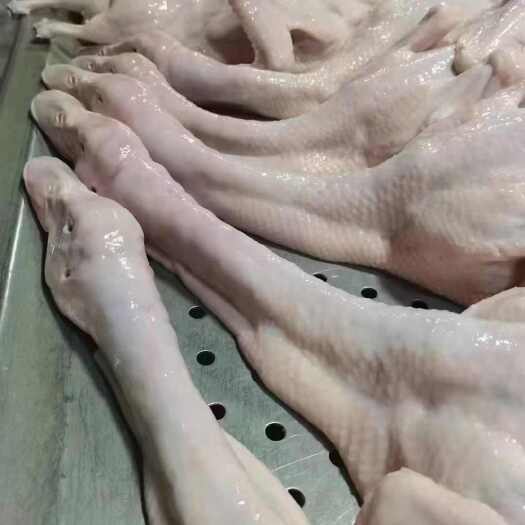 沂南县一级白条鸭2000克以上