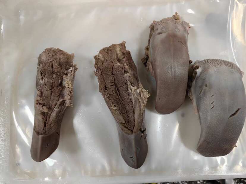 真空包装，精熟口条！