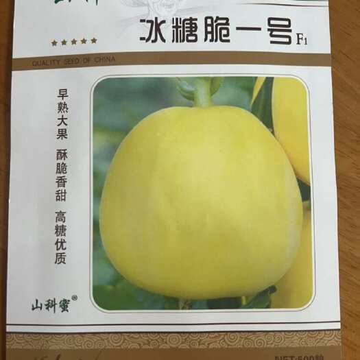 夏邑县冰糖脆1号甜瓜种子