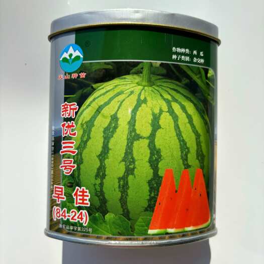 沭阳县西瓜种子新疆天山早佳8424早熟抗病皮薄多汁酥甜杂交西瓜种