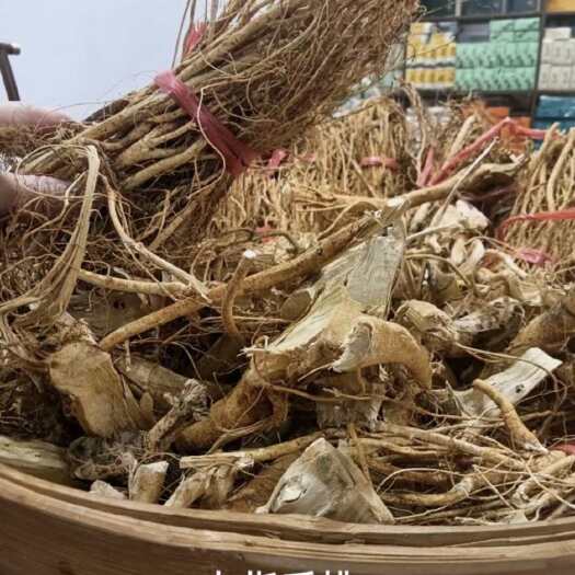 漳州七指毛桃