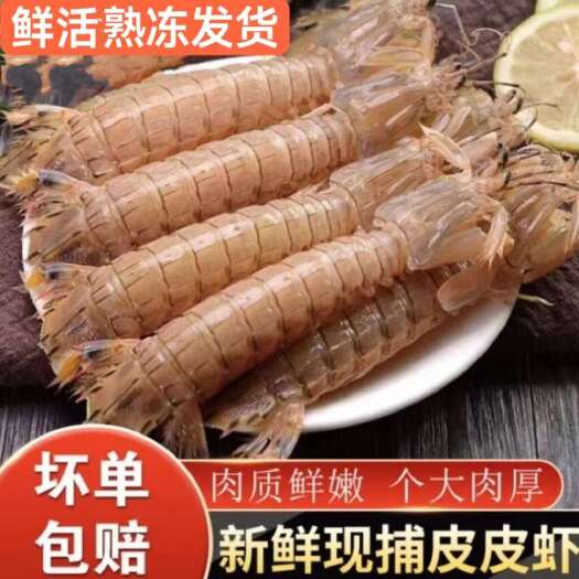 南京皮皮虾鲜活一名虾爬子超特大批发海鲜海虾新鲜蒸熟全母带膏皮皮虾
