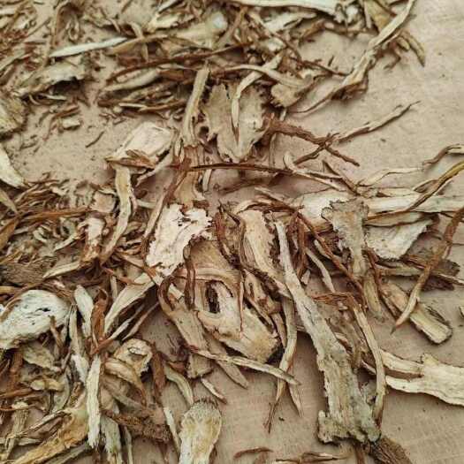 渭源县甘肃当归全当归切片原产地中药材批发零售保农残
