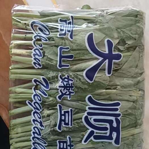  嫩豆苗