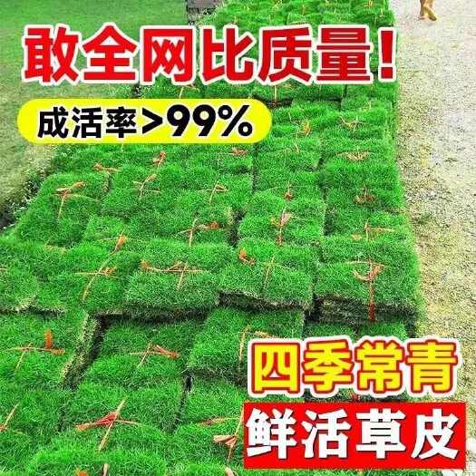 南昌县基地直销带土草皮