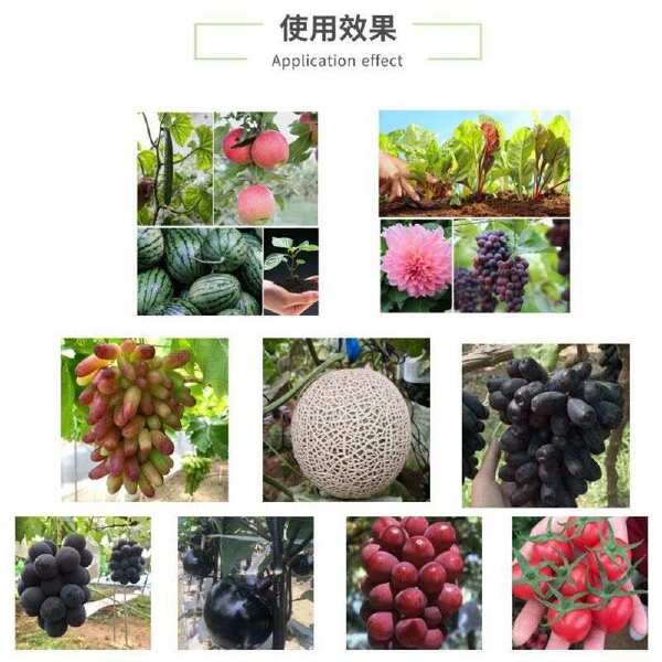 糖醇钙叶面肥 柑橘芒果西瓜草莓膨果防裂螯合糖醇钙叶面液体钙肥