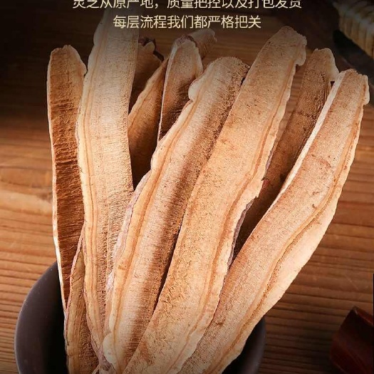 冠县赤灵芝切片，赤灵芝个子，量大价优