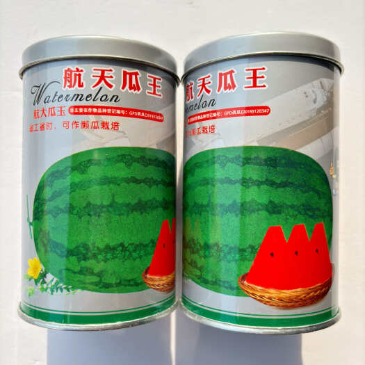 沭阳县航天瓜王西瓜种子抗病耐重茬不裂果甜脆特大少籽西龙八号西瓜种籽