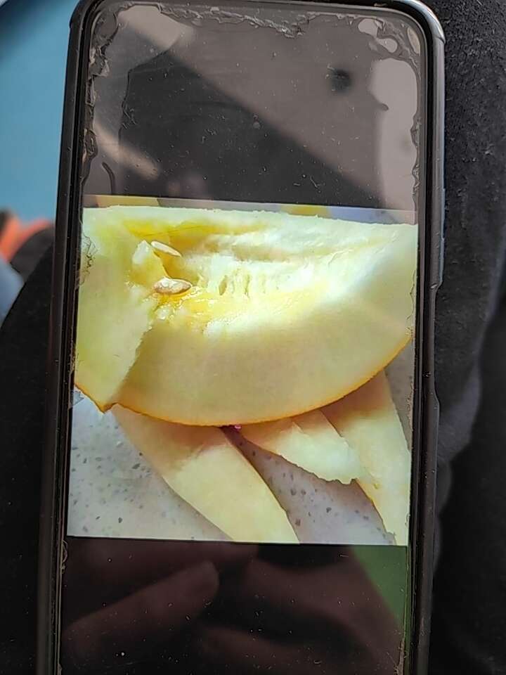 华莱士含有大量的碳水化合物及营养物质，口感多汁