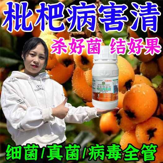 栾川县枇杷病全治枇杷树斑点黄叶病叶斑病干腐病花腐病杀菌剂琵琶树锈病