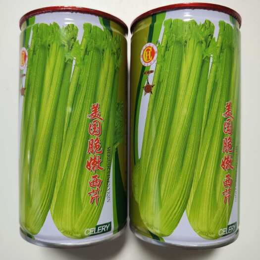 沭阳县芹菜种子美国脆嫩西芹黄心芹产量高纤维少耐抽苔脆嫩速生西芹种籽