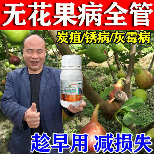 栾川县无花果锈病专用菌剂无花果锈病杀菌剂锈病专用杀菌炭疽病果腐病
