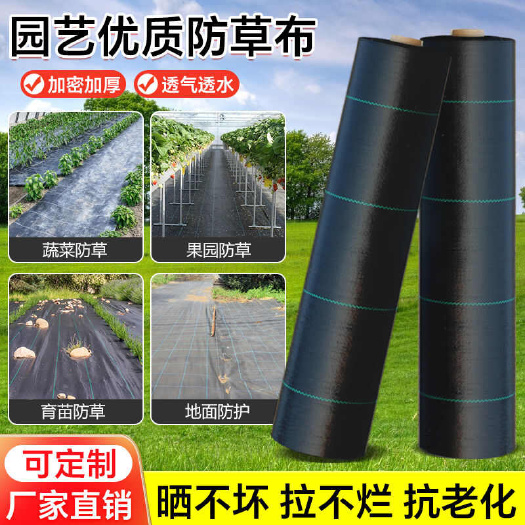 无棣县防草布除草抗老化园艺果园遮草盖草布打孔透水保温保湿pe全新料