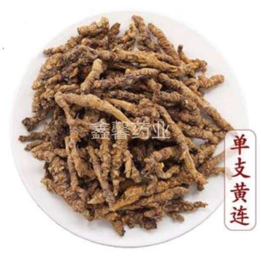 蔚县黄莲    产地四川