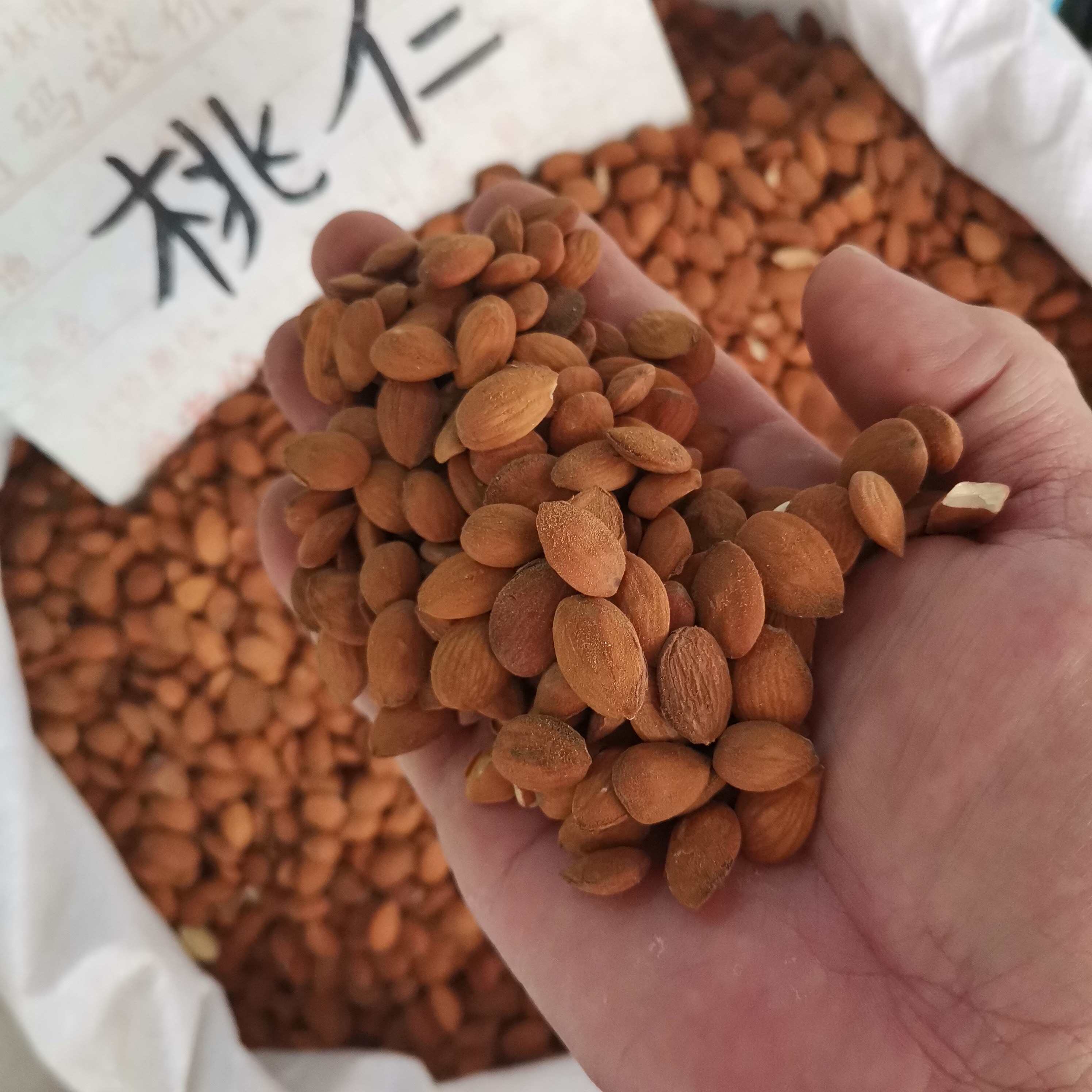 【桃仁】中药材生桃仁熟桃仁中药材山桃仁泡酒料中草药桃仁