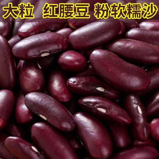 大姚县红腰豆