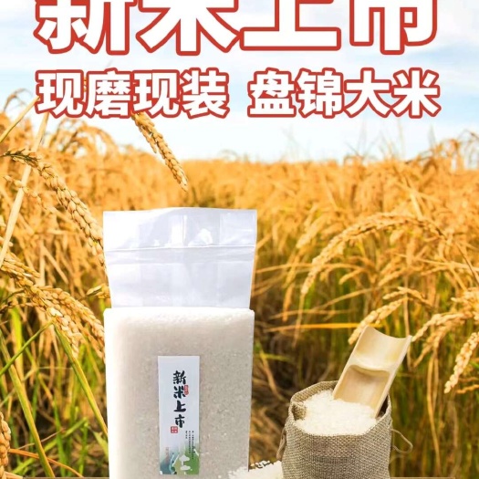 盘锦蟹田大米，米砖1KG(锦稻109)