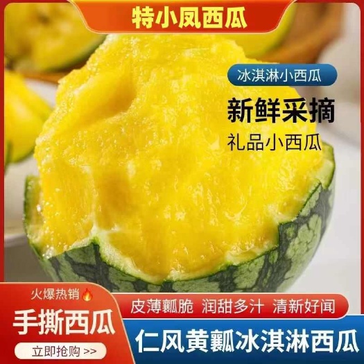 东台市江苏东台农友特小凤西瓜大量供应 脆甜可口个头均匀量大优惠