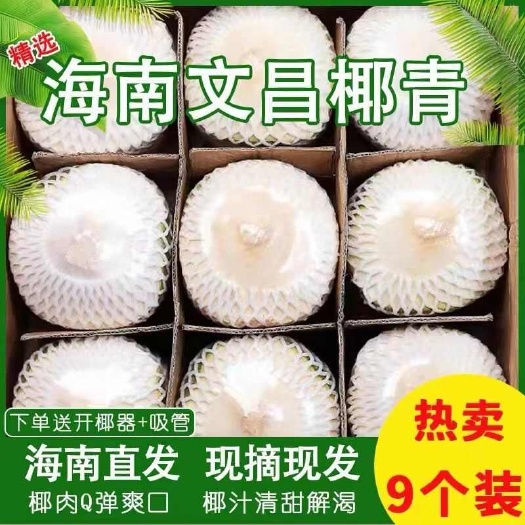 海南文昌椰子椰青一箱九个48元各大平台一件代发批发零售兼营