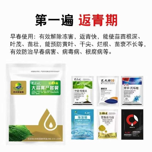 大蒜套餐增產(chǎn)專用大蒜三遍藥專用大蒜干尖黃葉膨大大蒜防病