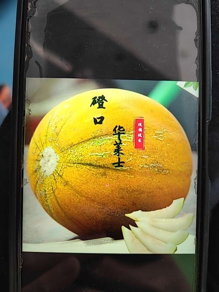 华莱士含有大量的碳水化合物及营养物质，口感多汁