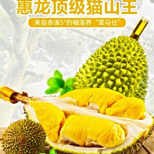 广州马利西亚猫山王榴莲，3.5斤326块包邮，量大可谈。