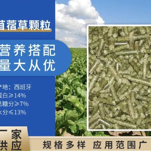 广州苜蓿草 长期供应西班牙苜蓿草颗粒 适用兔牛猪牛羊马等素食动物