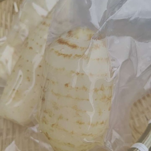 金寨县中药材天麻：真空包装乌红杂交天麻单个（150g-200g）