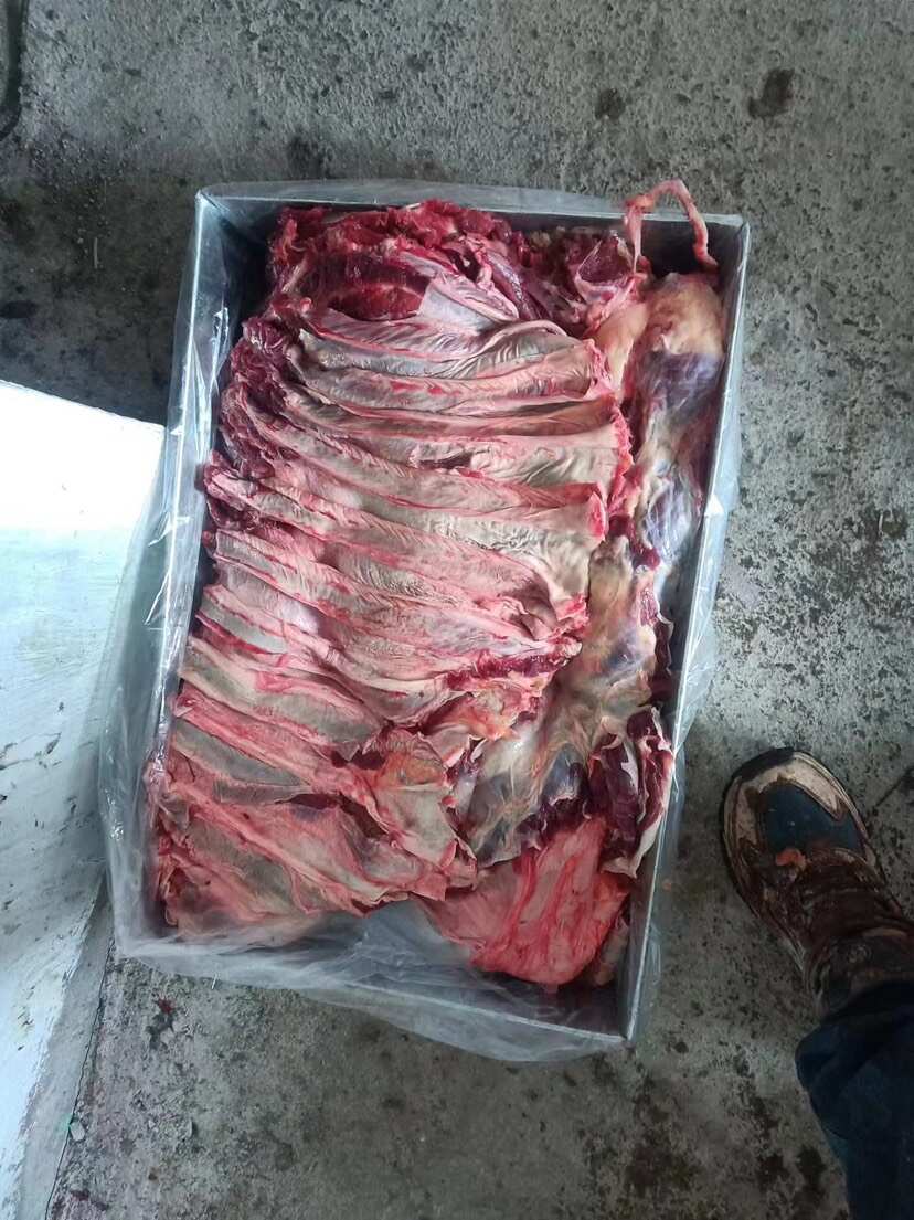 牛肉，纯牛肉屠场现杀现卖
