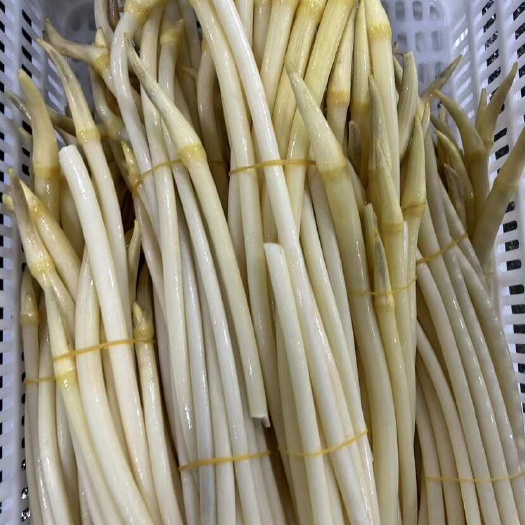 洪湖市洪湖新鲜藕带现摘现发